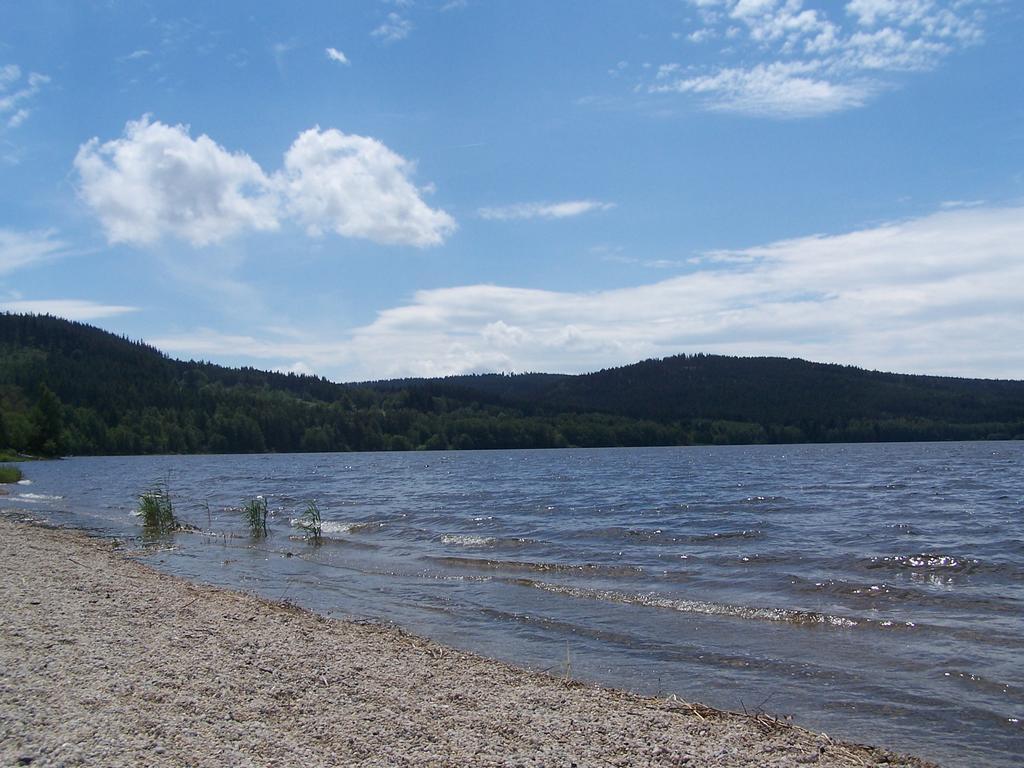 Apartment Lipno Lipno nad Vltavou Eksteriør bilde